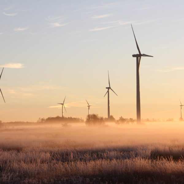 windmills