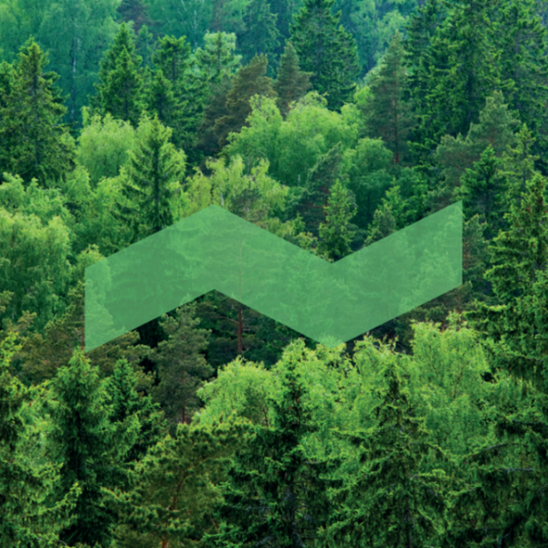 bioeconomy