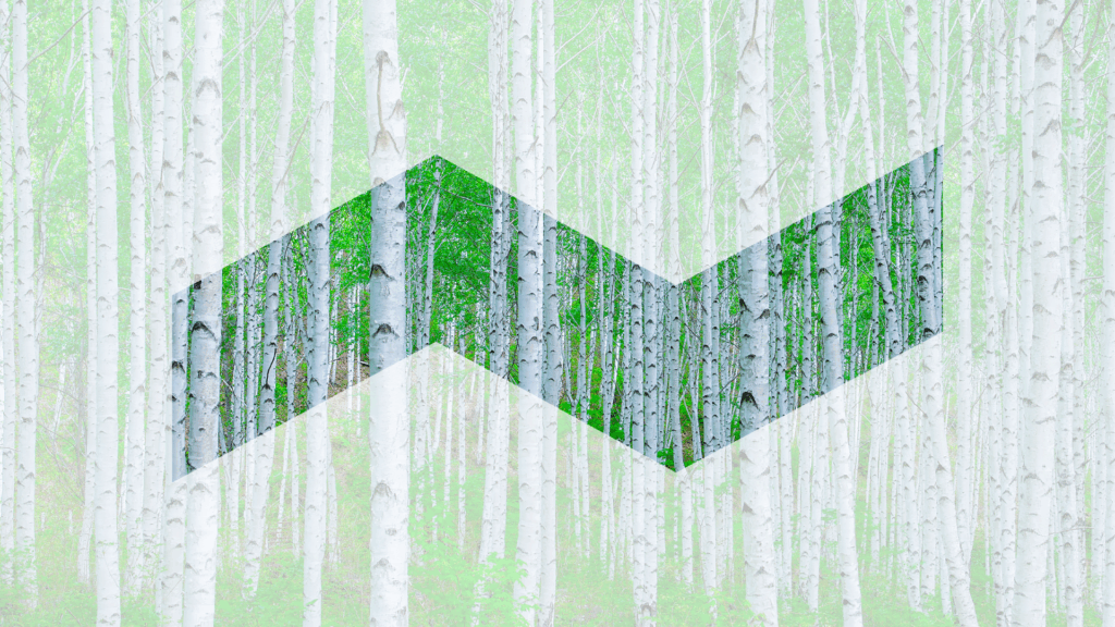 CLIC Brandmark Finnish Forest.