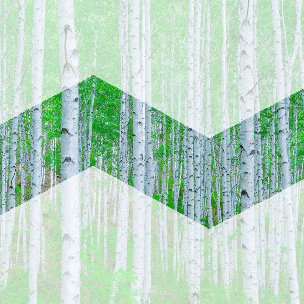 CLIC Brandmark Finnish Forest.