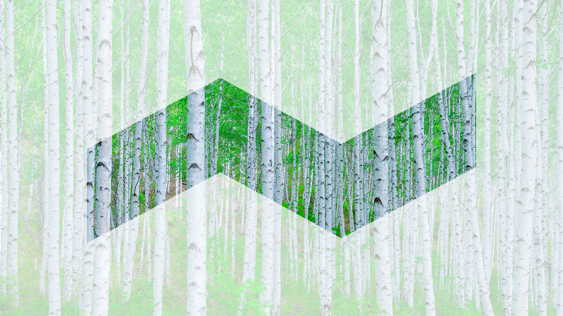CLIC Brandmark Finnish Forest.