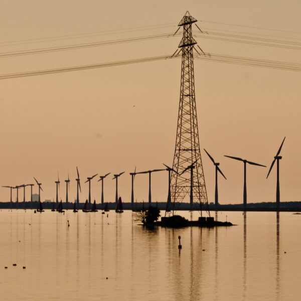 Grid and Wind turbine.