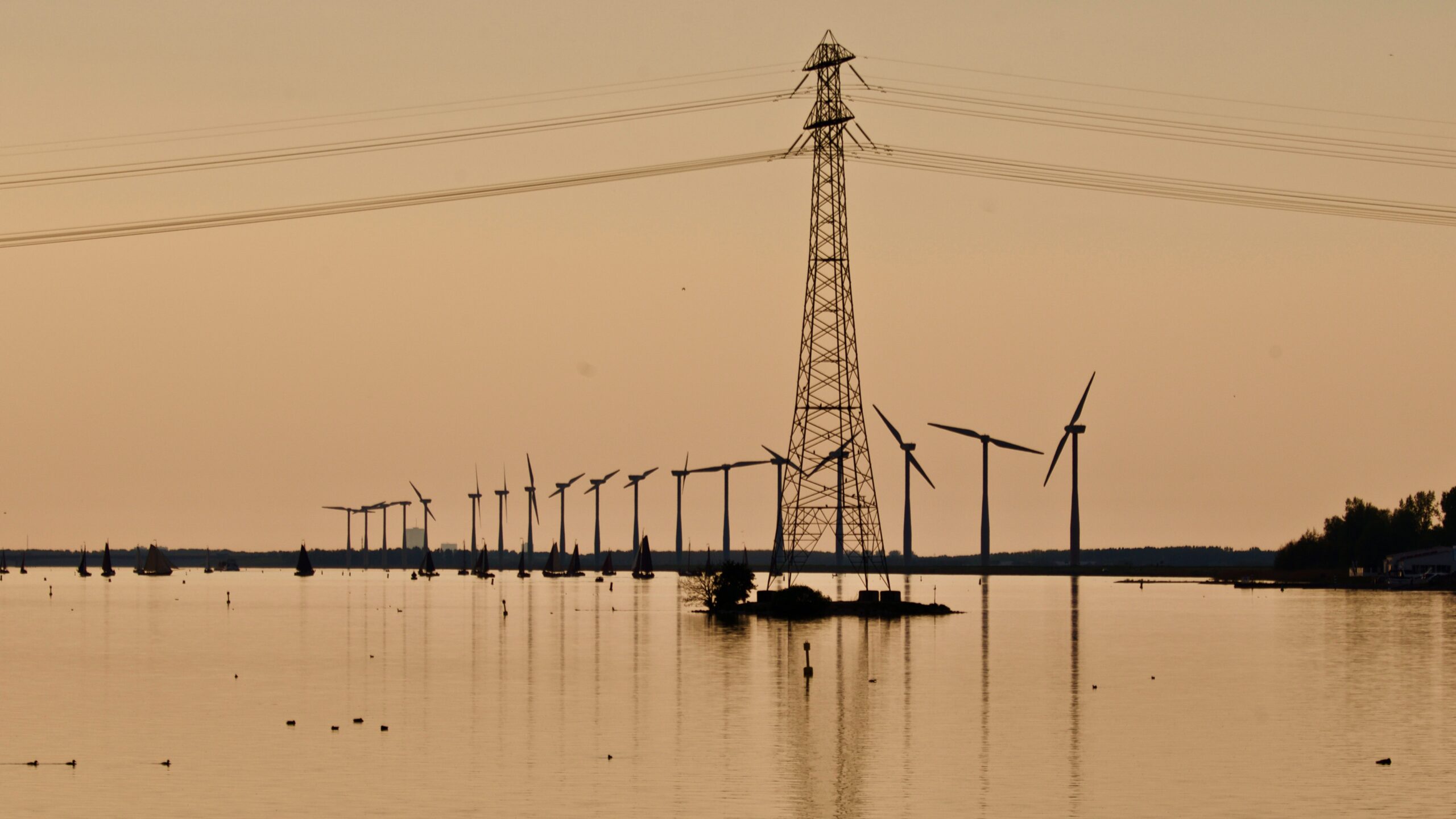 Grid and Wind turbine.