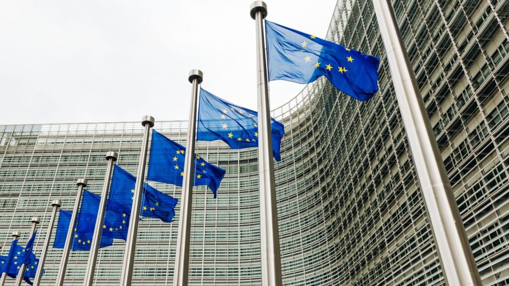 EU flags